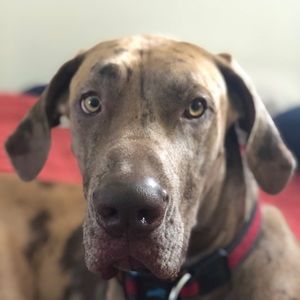 Meet your Posher, Rick